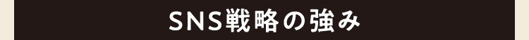 SNS戦略の強み