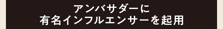 アンバサダーに有名インフルエンサーを起用